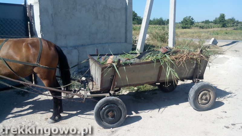 Mołdawia - Dzień 6 wóz widmo pijany woźnica trekkingowo
